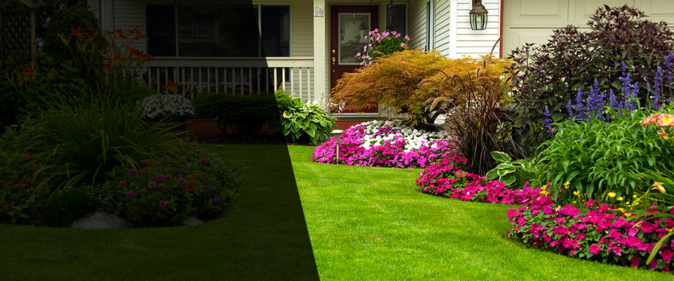 Santa Clara Landscapers